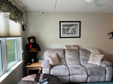 28 Packards Rd unit 311, Waterville Valley, NH 03215 - photo 3