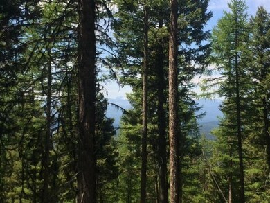 723 Wolverine Dr, Seeley Lake, MT 59868 - photo 7