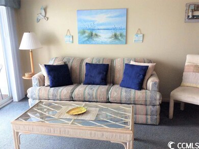 920 N Waccamaw Dr unit 1403, Murrells Inlet, SC 29576 - photo 3