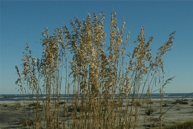 Sapelo Island Beach