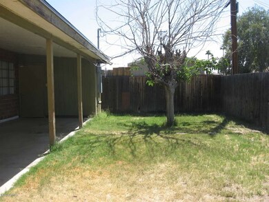 Pretty Backyard