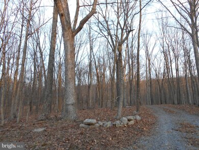 159 Spring Gap Rd, Slanesville, WV 25444 - photo 7