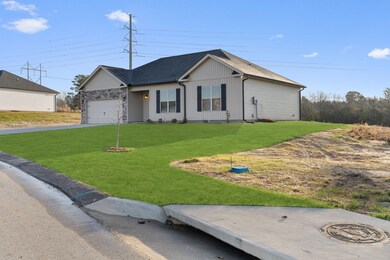 8-web-or-mls-DSC06080