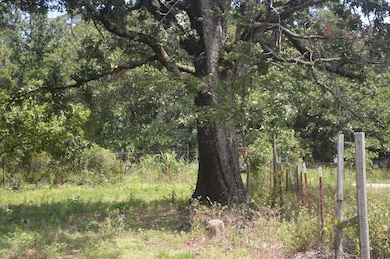 S 4650 Rd, Brushy, OK 74955 - photo 3