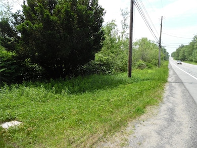 TBD Wurtsboro Mountain Rd, Wurtsboro, NY 12790 - photo 3