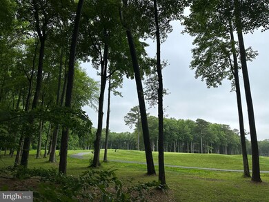 30 Juneway Ln, Berlin, MD 21811 - photo 4