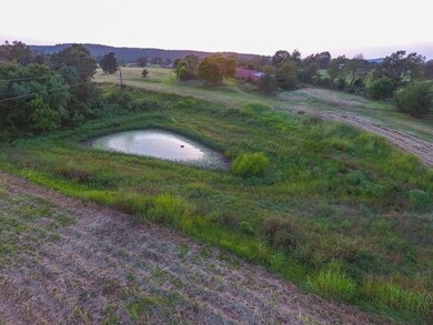 2.55AC Lynch Rd, Fayetteville, AR 72704 - photo 4