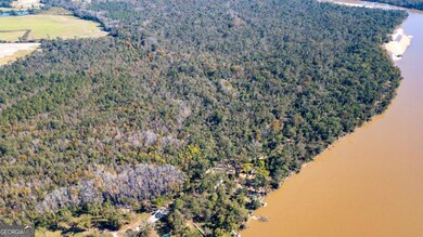 0 Gray's Landing Rd unit 10647341, Uvalda, GA 30473 - photo 6