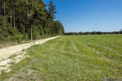 V2 Jim Price Rd, Clinton, LA 70722 - photo 3