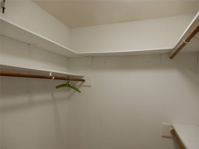 Primary Walk-in Closet
