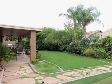 Backyard 1