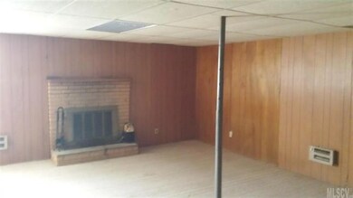 Basement Den