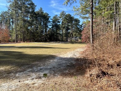 16080 Cardinal Ct, Wagram, NC 28396 - photo 4