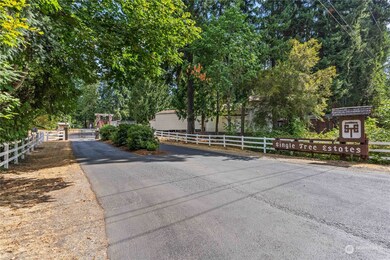 18605 Tapaderos St SE, Yelm, WA 98597 - photo 7