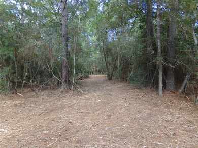 24883 Nightingale Ln, Hockley, TX 77447 - photo 5