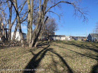 2923 Newark Ave, Lansing, MI 48911 - photo 4