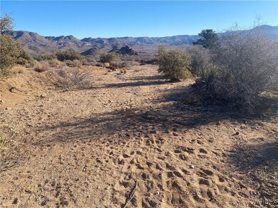 00 Jarvis Way, Hackberry, AZ 86411 - photo 5