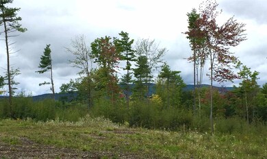 29 Gordon Hill Rd, New Hampton, NH 03256 - photo 4