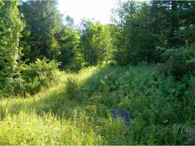 0 Lovejoy Brook Rd unit 4173987, Ludlow, VT 05149 - photo 6
