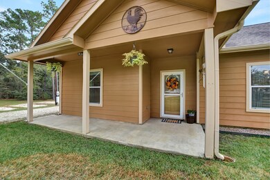 25896 E Lake View Ct, Hockley, TX 77447 - photo 6