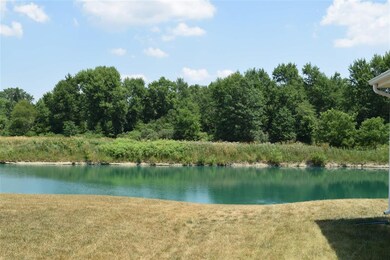 Pond view
