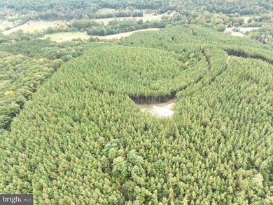 26.89 AC N Texas Rd, Delray, WV 26714 - photo 7