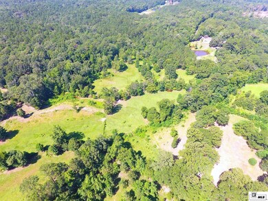 226 Carter Rd, Calhoun, LA 71225 - photo 4