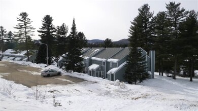 106 Mountain River Rd E unit 29, Thornton, NH 03285 - photo 4