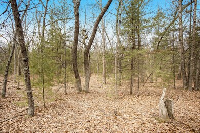 220419 1.00pm Dodge Vacant Land 60t Phot