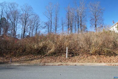 TBD27 Barnsdale Rd unit 27, Piney Mountain, VA 22911 - photo 2