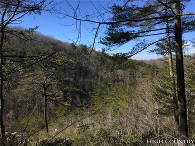 Bright Penny Forest Section Plat