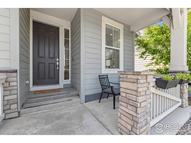 2909 Comet St, Fort Collins, CO 80524 - photo 7