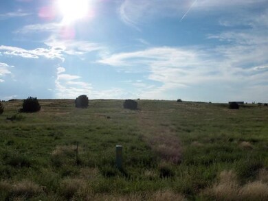 660 S Foothills Blvd unit 680 S. Foothills Blv, Taylor, AZ 85939 - photo 6