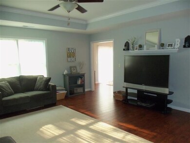 Trey Ceiling with ceiling fan