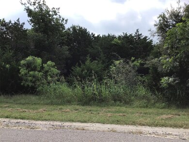 39341 Cedar Trail, Whitney, TX 76692 - photo 2