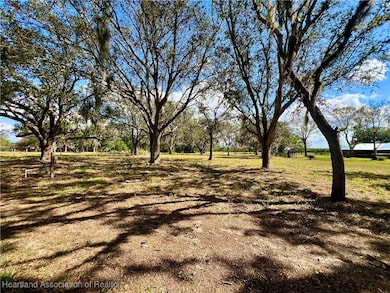 301 S Wells Ave, Avon Park, FL 33825 - photo 7