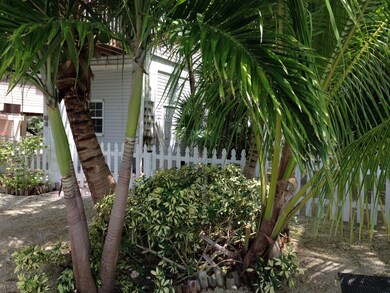 Backyard1