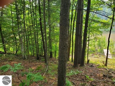 0 Rivers Terrace Rd unit 55, Gladwin, MI 48624 - photo 4