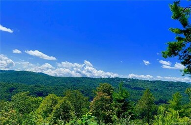 e4 Marble Ct unit Estates 4, Hendersonville, NC 28792 - photo 4