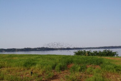 802 Point Rd, Muscle Shoals, AL 35661 - photo 6