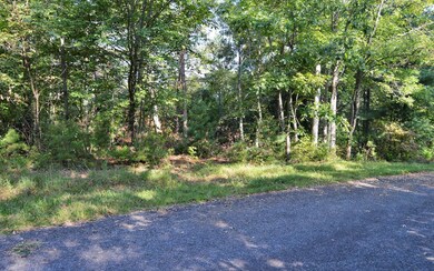 Additional View