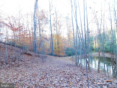 0 Reci Ln unit VAOR136038, Locust Grove, VA 22508 - photo 3