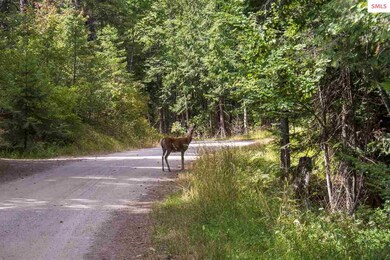 1231 Janish Dr, Sandpoint, ID 83864 - photo 7