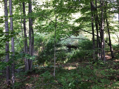 0 Cedar Rd, Lincoln Township, MI 48625 - photo 6