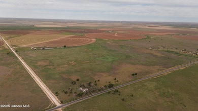 DJI_20250515093611_0144_D