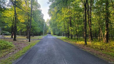 1000 Towamensing Rd, Towamensing Township, PA 18235 - photo 7