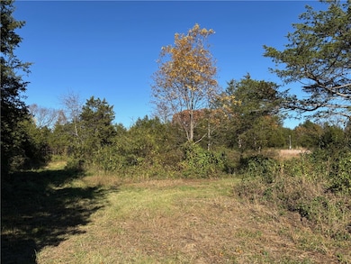 6.72 ac State Highway 374, Saint Joe, AR 72675 - photo 7