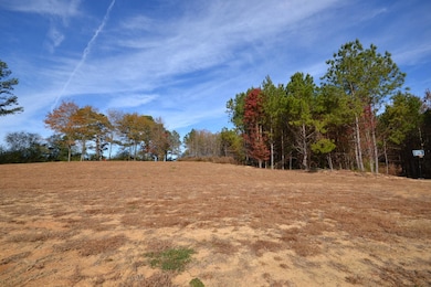 310 County Road 1119, Vinemont, AL 35179 - photo 3