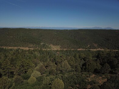 33021 Big Springs Overlook, Trinidad, CO 81082 - photo 5