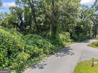 0 E Newnan Rd unit 10589167, Newnan, GA 30263 - photo 5